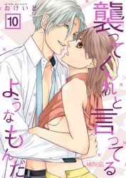 襲ってくれと言ってるようなもんだ 10