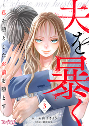 夫を暴く～私を堕としたお前を堕とす～（3）