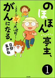 のほほん亭主、がんになる。～ステージ4から大逆転！～（分冊版）