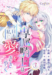 専属騎士は今日も私に愛をささやく（3）