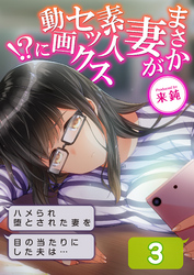 まさか妻が素人セックス動画に！？-ハメられ堕とされた妻を目の当たりにした夫は…-(3)