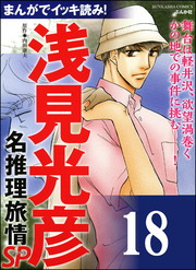 浅見光彦ミステリーSP（分冊版）　【第18話】