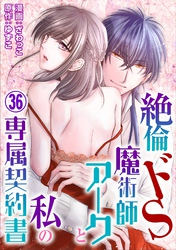 絶倫ドS魔術師アークと私の専属契約書 36