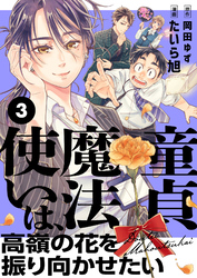 童貞魔法使いは、高嶺の花を振り向かせたい(3)