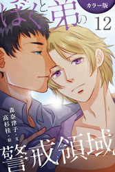 [カラー版]ぼくと弟の警戒領域 12巻〈エロティックな支配〉