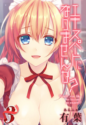 エキスパートになりませんか？(3)