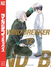 ＷＩＮＤ　ＢＲＥＡＫＥＲ（１２）