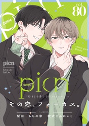 comic picn vol.80