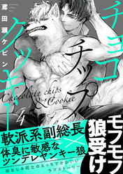 チョコチップクッキー(4)