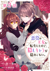 【単話版】悪役の王女に転生したけど、隠しキャラが隠れてない。@COMIC 第3話