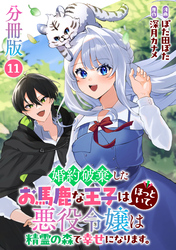 婚約破棄したお馬鹿な王子はほっといて、悪役令嬢は精霊の森で幸せになります。【分冊版】11