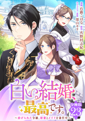 白い結婚、最高です。～虐げられた令嬢、新妻とメイドを兼任中～【分冊版】23