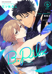 B.Pilz ｖｏｌ．30