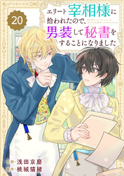Berry’sFantasyエリート宰相様に拾われたので、男装して秘書をすることになりました20巻