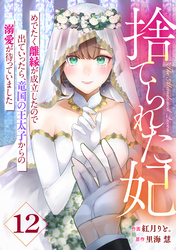 Berry’sFantasy捨てられた妃　めでたく離縁が成立したので出ていったら、竜国の王太子からの溺愛が待っていました12巻