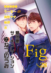 Fig　vol28