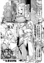 見たいもの見せましょう＜連載版＞57話　女騎士行方不明3