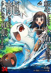 【分冊版】転生したら小魚だったけど龍になれるらしいので頑張ります 第34話