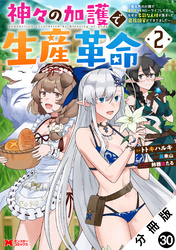 神々の加護で生産革命～異世界の片隅でまったりスローライフしてたら、なぜか多彩な人材が集まって最強国家ができてました～（コミック） 分冊版 30