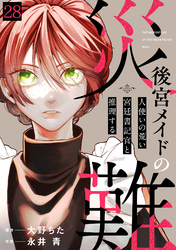 後宮メイドの災難～人使いの荒い宮廷書記官と推理する～(28)
