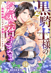 Berry’sFantasy黒騎士様のお気に召すまま～政略結婚のはずが溺愛されています～14巻