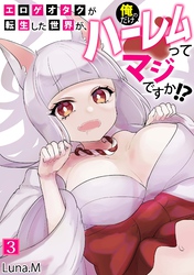 エロゲオタクが転生した世界が、俺だけのハーレムってマジですか！？(3)