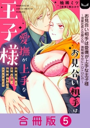 お見合い相手は愛撫が上手な王子様～溺愛社長と交際０日、強制婚なのにトロトロに！？～【合冊版】 5巻