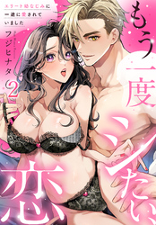 もう一度シたい、恋～エリート幼なじみに一途に愛されていました～(2)
