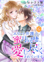 エリート弁護士に蜜月同棲で愛し尽くされています【分冊版】6話