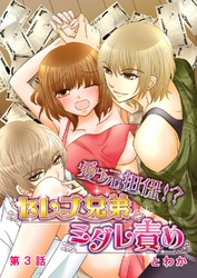 愛玩担保！？セレブ兄弟ミダレ責め 3