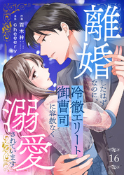 離婚したはずなのに、冷徹エリート御曹司に容赦なく溺愛されています１６
