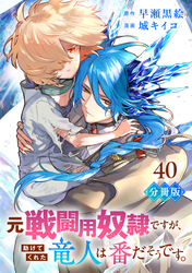 元戦闘用奴隷ですが、助けてくれた竜人は番だそうです。【分冊版】40