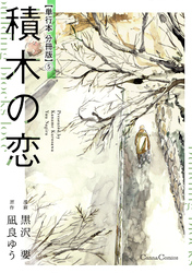 積木の恋【単行本 分冊版】５