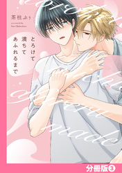 とろけて満ちてあふれるまで【分冊版】(3)