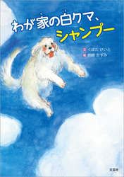 わが家の白クマ、シャンプー