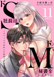 【ラブチーク】ドS社長はドM秘書をいじめたい～オフィスでぬれとろ玩具レビュー～　act.11