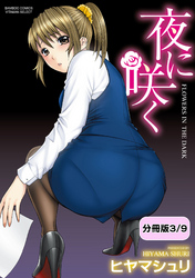 夜に咲く【分冊版 3/9】午後の劇的