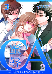 蜜辱ＣＡ～上空33000フィートの檻～（2）（3）