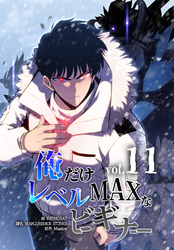俺だけレベルMAXなビギナー（11）