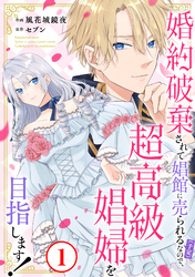 婚約破棄されて娼館に売られる（予定）なので、超高級娼婦を目指します！1