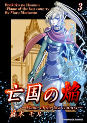 亡国の焔3巻