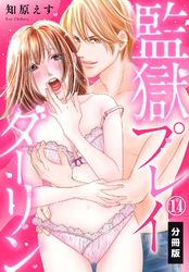 監獄プレイダーリン【分冊版】（14）