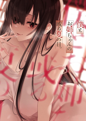 僕とお姉ちゃんの或る夏の日。