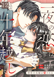 一夜の恋は十年越しに～待宵の花嫁は愛される～(12)