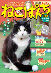 ねこぱんち （224）　モフモフ♪ネコぐらし号