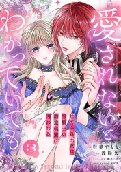 愛されないとわかっていても～捨てられ王女は黒騎士の激重執愛に囚われる～３