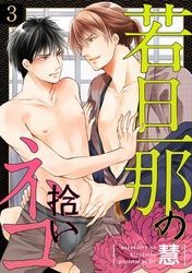 若旦那の拾いネコ（3）