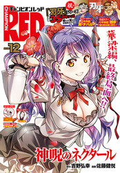 チャンピオンRED　2026年12月号