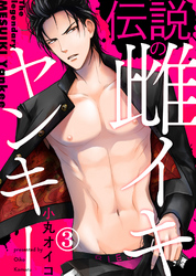 伝説の雌イキヤンキー（3）