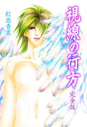 視線の行方【完全版】